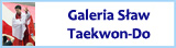 Galeria Sław Taekwon-Do